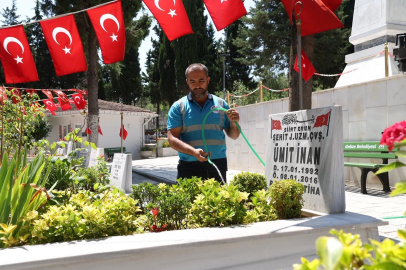 Gebze'de mezarlık ve şehitliklere kapsamlı bakım