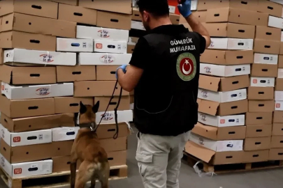 Kapıkule’de tavuk kolilerinden uyuşturucu çıktı: 526 kilo esrar ele geçirildi
