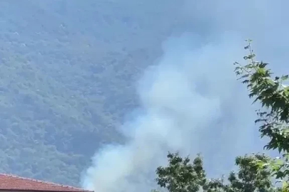 Kestel’de orman yangını
