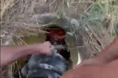 Rögara düşen keçiyi itfaiye kurtardı
