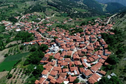 Köylülerin ürettiği peynir coğrafi işaret tescili aldı
