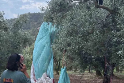 Anlık hava değişimi yamaç paraşütçülerine yaramadı
