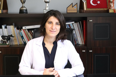 Bursa Veteriner Hekimler Odası'ndan Kritik Çağrı: "Veteriner Fakültelerinde Kalite İçin Başarı Sırası Şartı Getirilmeli"