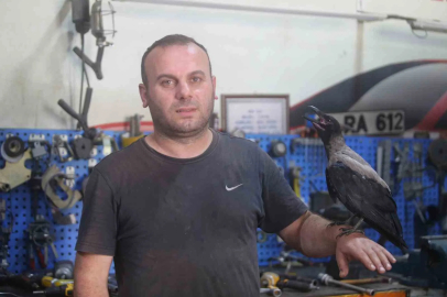 Karga ile tamircinin sıradışı dostluğu...Tamirhanede birlikte çalışıyorlar
