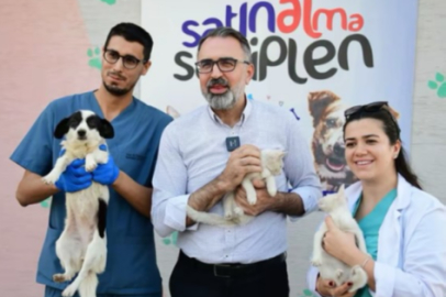 Kestel Belediyesi’nden Can Dostlarına Dijital Yuva Desteği