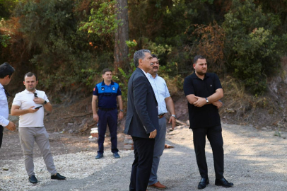 Gemlik Belediyesinden Patili Canlara Destek
