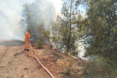 Bursa’da orman yangını
