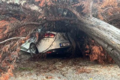 Bursa’da sağanak yağış ağacı devirdi, otomobilin üzerine düştü
